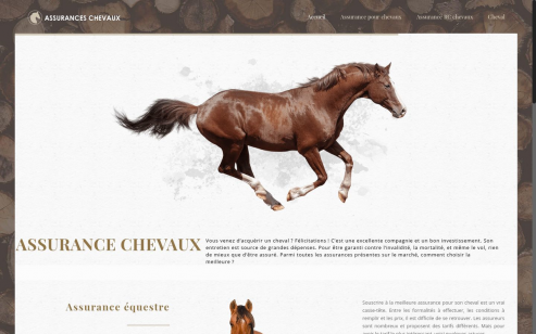 https://www.assurances-chevaux.com